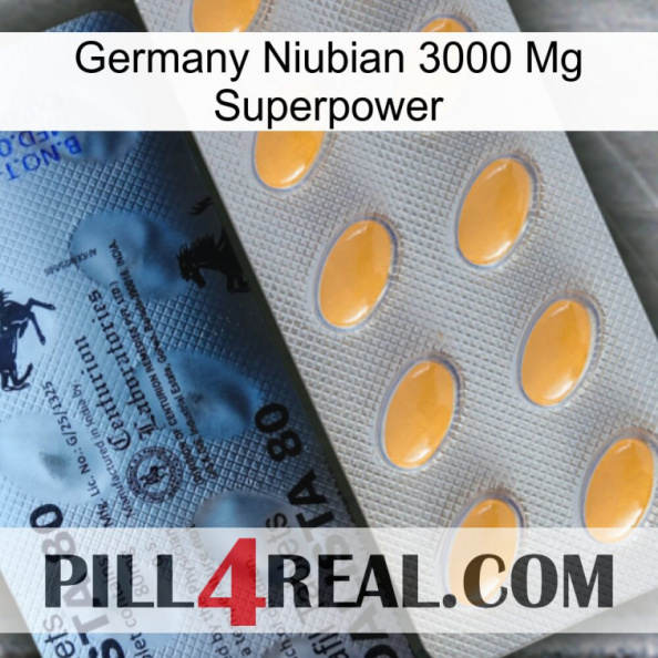 Germany Niubian 3000 Mg Superpower 44.jpg